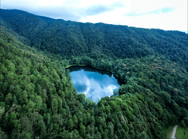 【美丽四川】李后强：现代“桃花源”海花沟：一日有四季