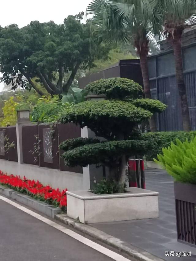 成德同城化 幅员2.6平方公里 集多功能 的广汉山水镇三星湖水色诱人