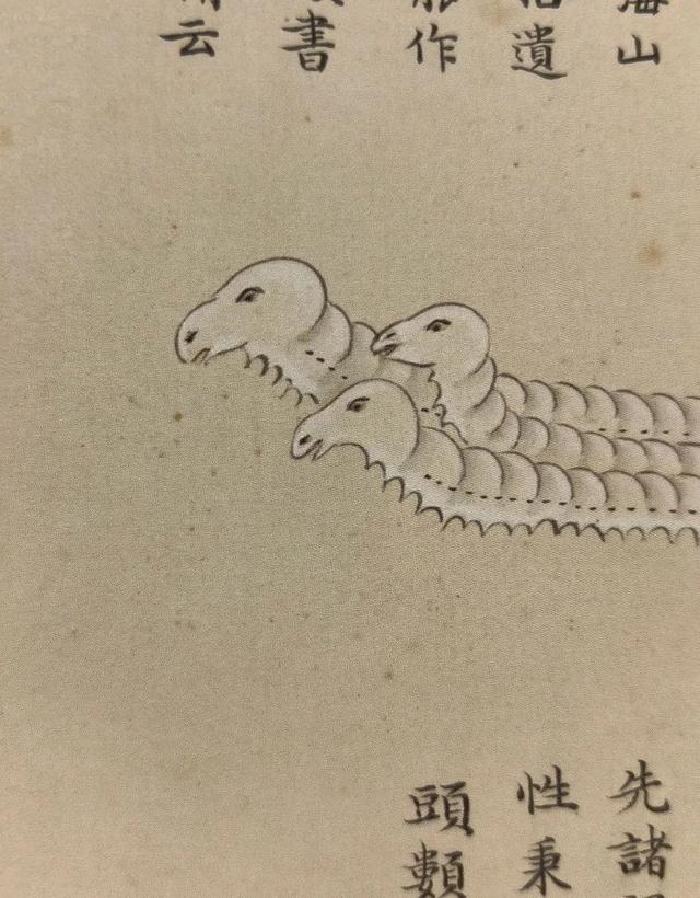 这画，真实又让人脑洞大开！