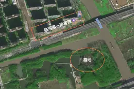 崩溃！公园变墓地！上海业主吓到不敢入住图片