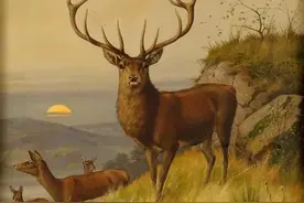 大美汉字：鹿🦌图片