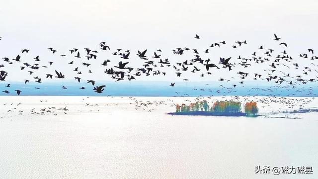魅力磁县｜不止看景！溢泉湖“天地课堂”解锁自然奥秘​~