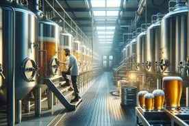 2024年中国啤酒行业研究报告图片