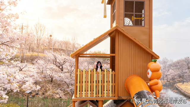 西海岸新乐园+1！就在杨家山里！