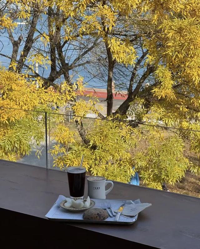 冷到跺脚？莱山这些「暖乎乎好去处」，承包你的冬日幸福感