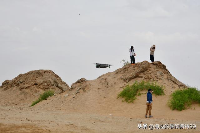 海边游记｜沙海狂飙与绿洲寻踪：内蒙古腾格里沙漠一日“历险记”