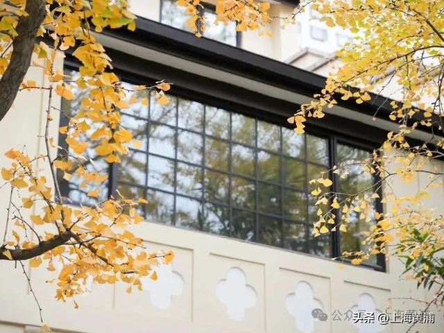 深秋限定！这条百年弄堂里尽是金色的浪漫！