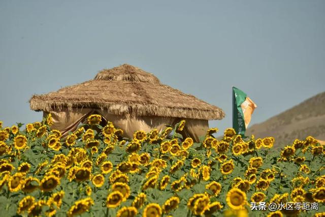 乌鲁木齐市水磨沟区——城市后花园：在石人子沟向阳谷花海乐享好时光