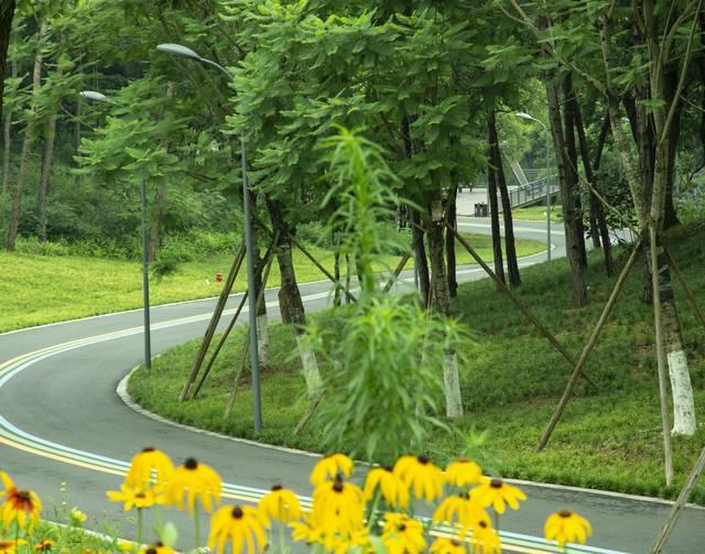 年过五十的70后，最重要的不是挣钱，而经营好50岁到60岁的这10年
