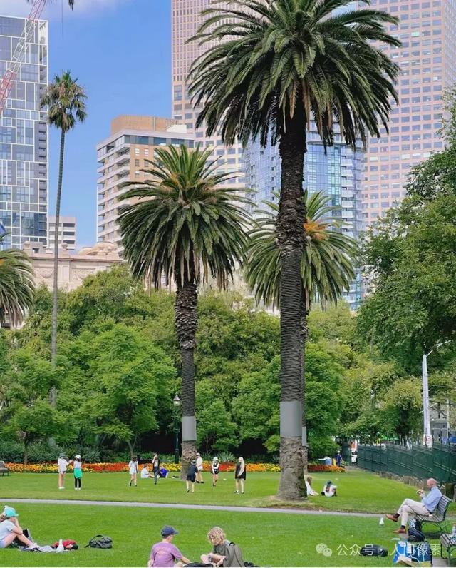 剪葡萄、送外卖挣学费,福建农村娃,如何走进世界顶级博物馆?