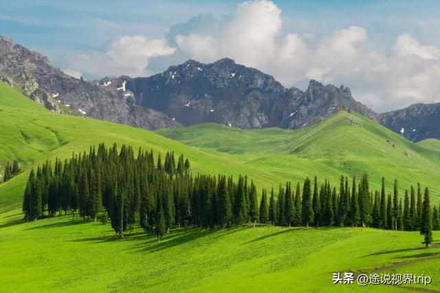 伊犁：中国西北的人间仙境，800公里风景长廊，藏着世间所有美好
