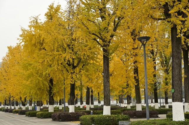 长沙私藏的五个红叶仙境，拍摄到最后一个美到词穷！