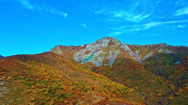 【支援合作 共谋发展】林西秋深：“福山”揽翠色 “花楸谷”醉红妆