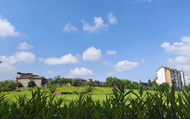 就在长沙！这片“能量场”，超治愈！