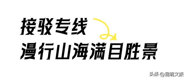 往返接驳+15分钟绿道直达赛点，给你的上合昆马开局加点“顺”~