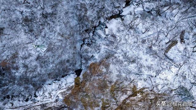 岁末欢聚！跟西旅一起趣玩长安，暖心过冬
