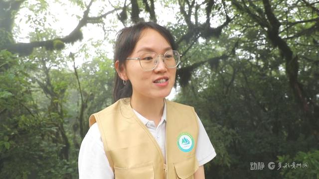 稻田抓鱼、识别植物、打糍粑……来贵州研学，超级好玩！