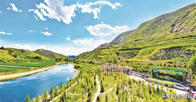黄土高原的“江南秘境”——侯家川齐靳湿地生态掠影