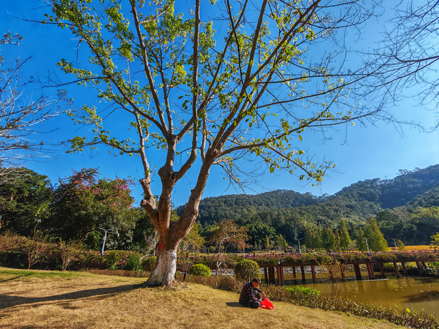 南山秋艳！云浮市民前来打卡→
