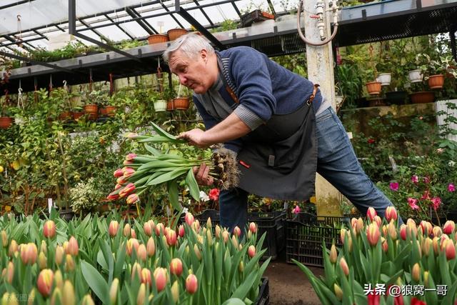 俄罗斯远东缺的不是资源，是人！免签一开，东北和远东都要变天