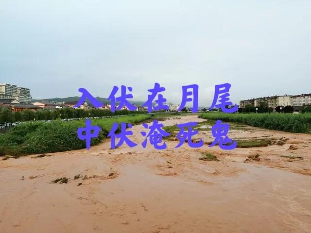 今年入伏不一般，“入伏在月尾，中伏淹死鬼”，下半年会有大涝吗