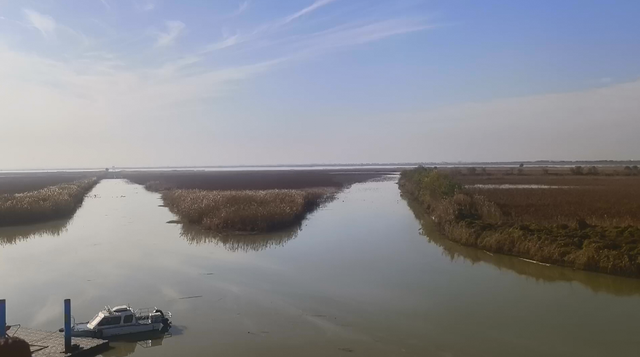 沉湖之约 建筑融自然绘青绿 群鸟齐飞撼心魂 农家烟火暖归途