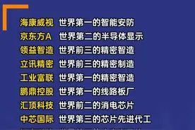 全球级的科技龙头 ，A股30家全球第一的科技龙头名单！图片