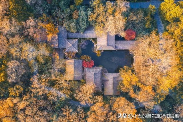 11月旅游的目的地推荐|每一个都是出片圣地的存在