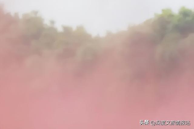 太粉了！太美了！苏州秋日的限定浪漫，是这片“粉色云雾”给的~