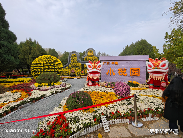 15分钟617人登顶龙亭大殿，传统观光景区迈向沉浸夜游的关键一步