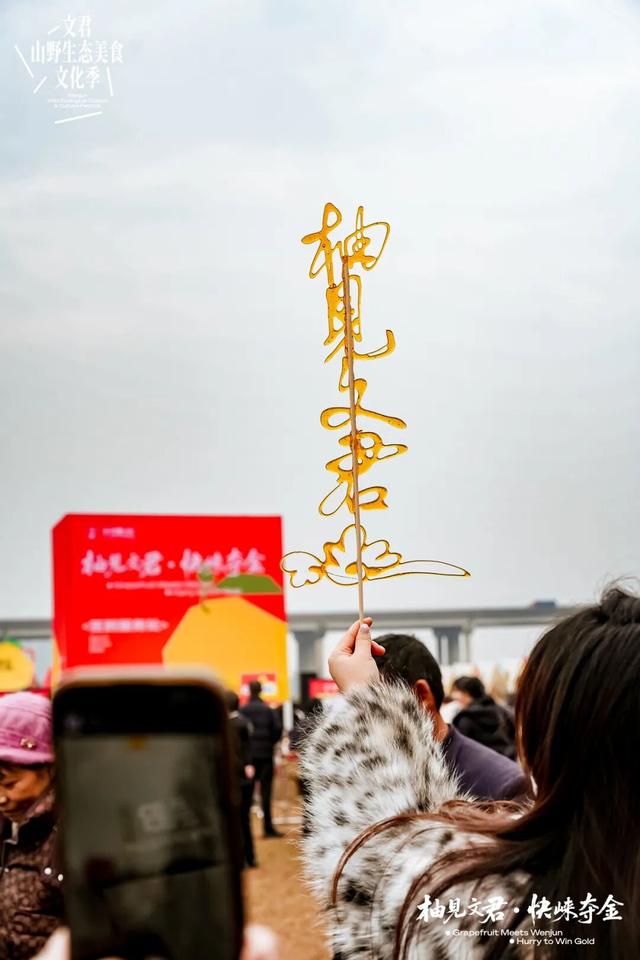 3000余组家庭赴约！文君山野美食文化季燃动暖冬