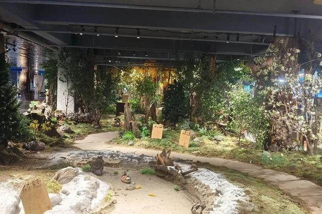 在朋友圈晒雪景？这次，晒点不一样的