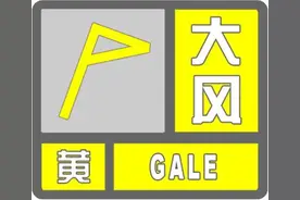 紧急提醒！大风黄色预警！明日有雨！沈阳接下来这几天……图片