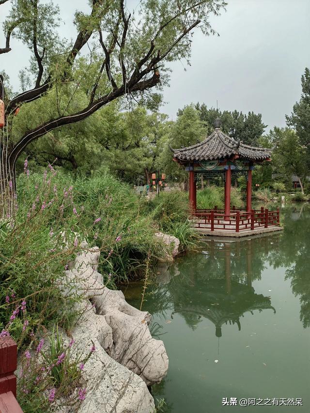 我是济南人，刚从青州回来，实在忍不住想说：对青州5点印象