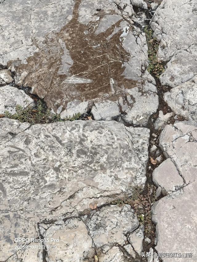 我的旅行日记——“北方旱地水城”,“太极拳之乡”之广府古城