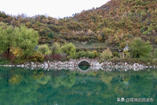 秋辞官鹅：一季斑斓入岁华