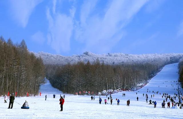 大雪已至 龙江皆雪趣