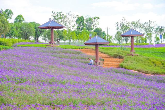 高铁直达！最适合3月小住几天的安逸小城，节奏慢，每个都超治愈