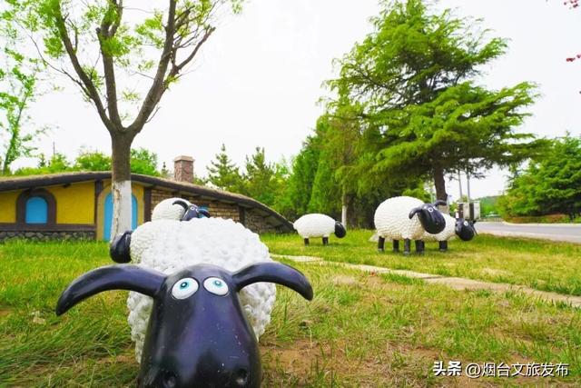 【乐游烟台】新发现！烟台这些小众景点，人少好逛！