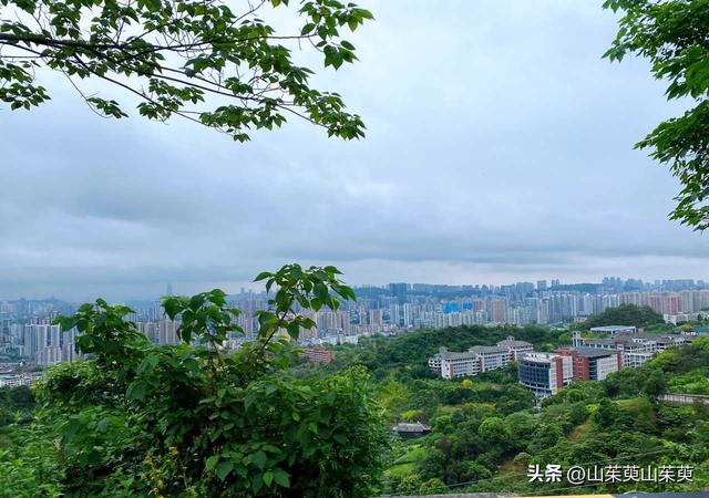 2023年春重庆探亲记（六）