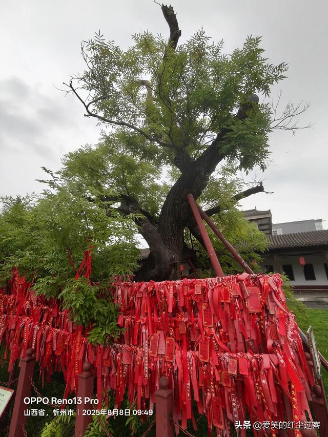 我的旅行日记——雨中游代州古城，一座活着的古城