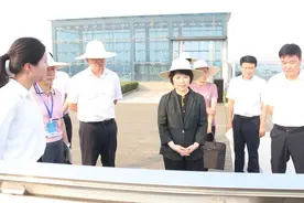 生态环境部副部长郭芳赴城陵矶新港区调研图片