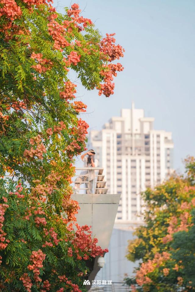 汉阳，变色……了