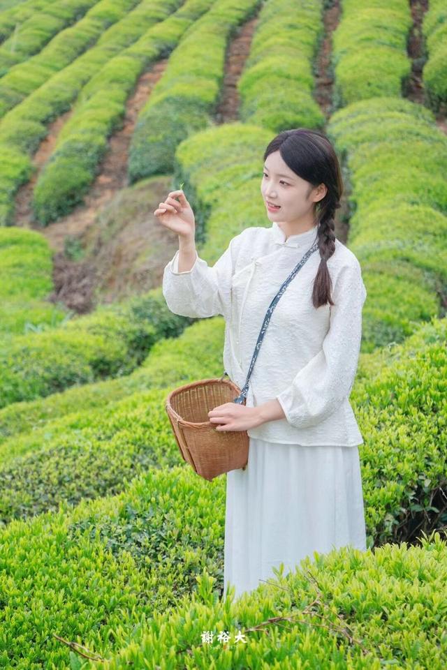 十一玩转茶博园 | 美食、美景、美物，承包你的黄金周！ | 有一种团圆在徽州 | 皖美秋日