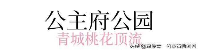 呼和浩特赏花攻略：最佳地点+公交出行指南