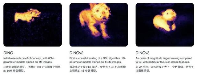 Meta视觉基座DINOv3王者归来:自监督首次全面超越弱监督,商用开源
