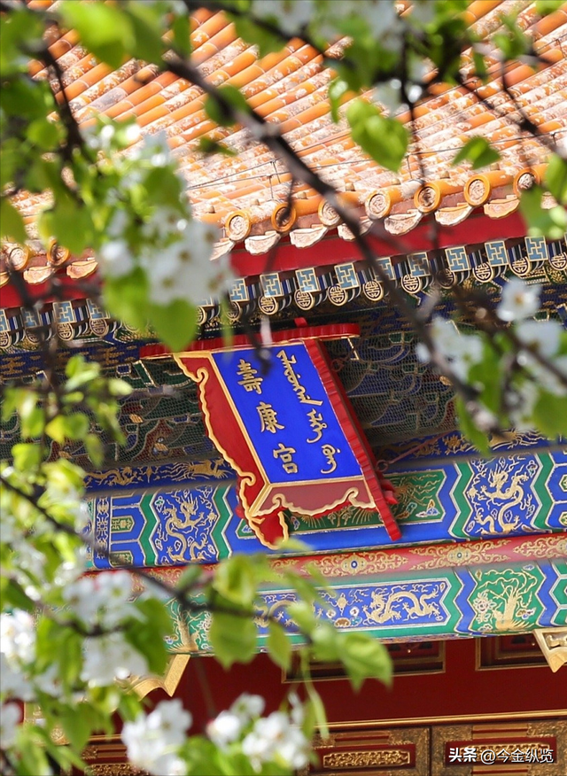避开人潮，跟探故宫“秘密路线”，才发现紫禁城竟是这样生动有趣