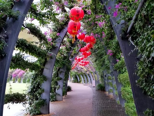 大洋洲旅游：澳大利亚昆士兰州行散记（图）