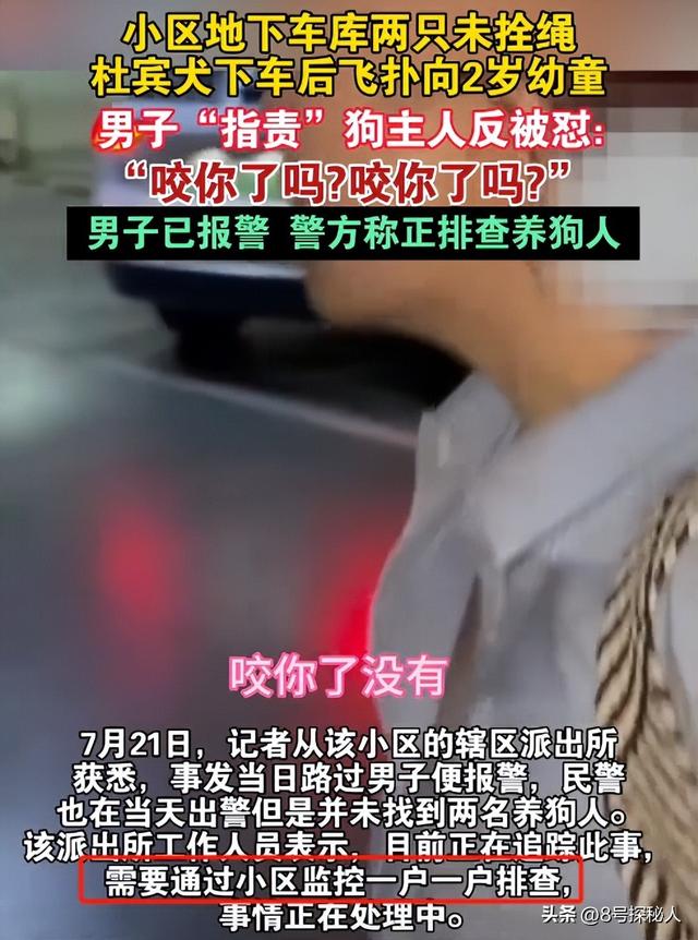 江苏杜宾犬飞扑幼童：事情已了结，当地人透露更多，女子身份可疑