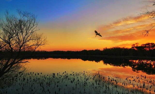 你的孩子是有福之人，自带贵气：不焦虑，静待他发光！